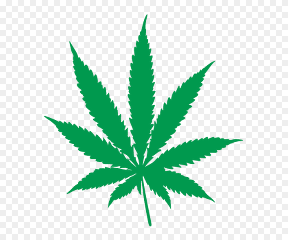 Cannabis, Leaf, Plant, Weed, Herbal Free Png