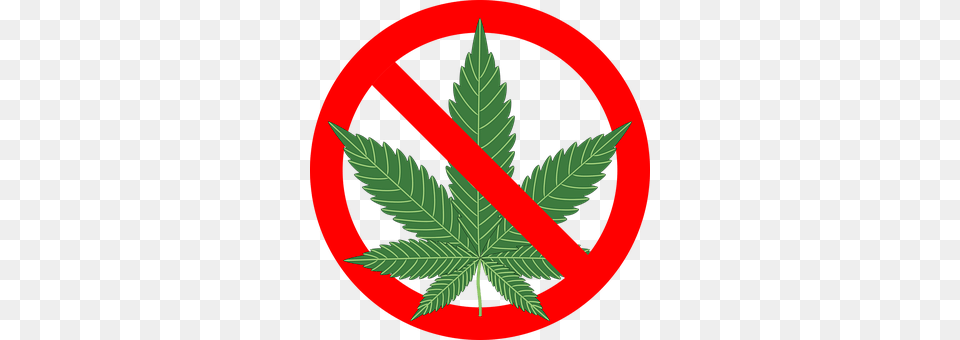 Cannabis Leaf, Plant, Weed, Symbol Free Transparent Png