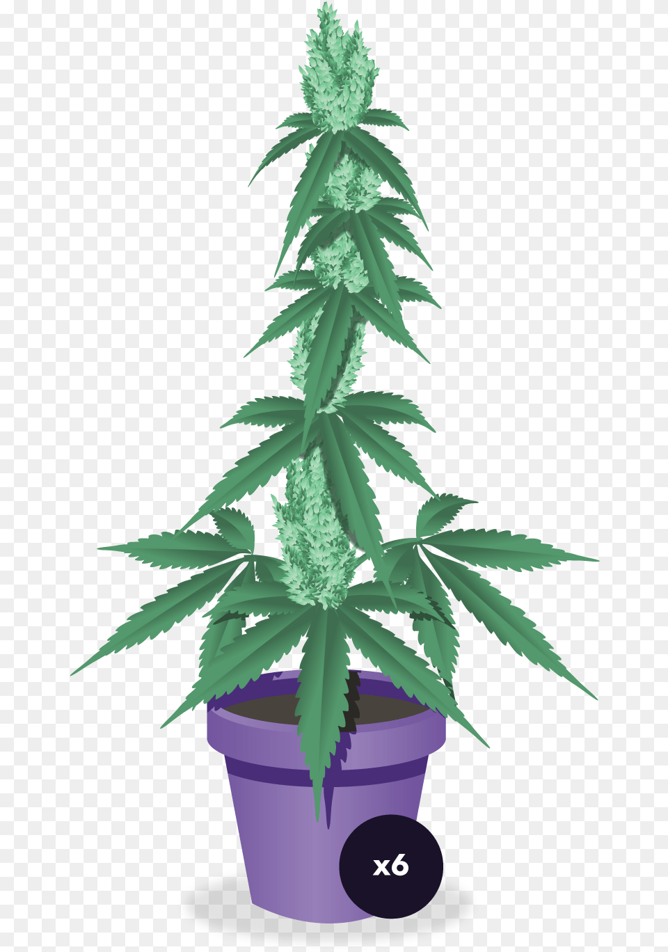 Cannabis, Hemp, Plant, Leaf Free Transparent Png
