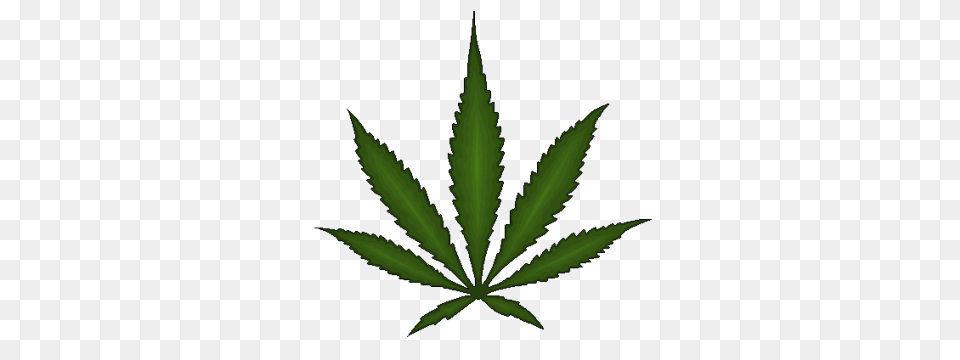 Cannabis, Leaf, Plant, Weed, Hemp Free Transparent Png