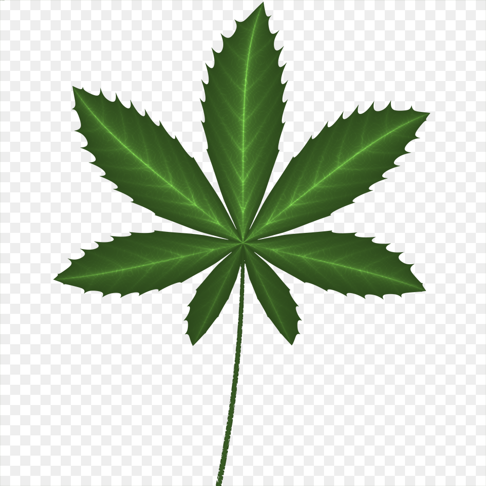 Cannabis Free Transparent Png