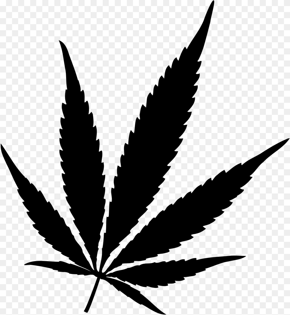Cannabis, Gray Png Image