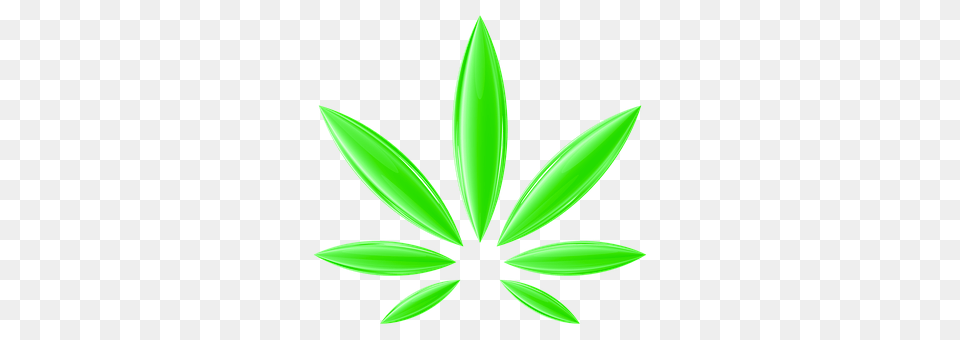 Cannabis Green, Leaf, Plant, Herbal Png Image