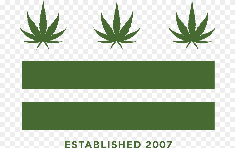 Cannabis, Green, Grass, Plant Png Image