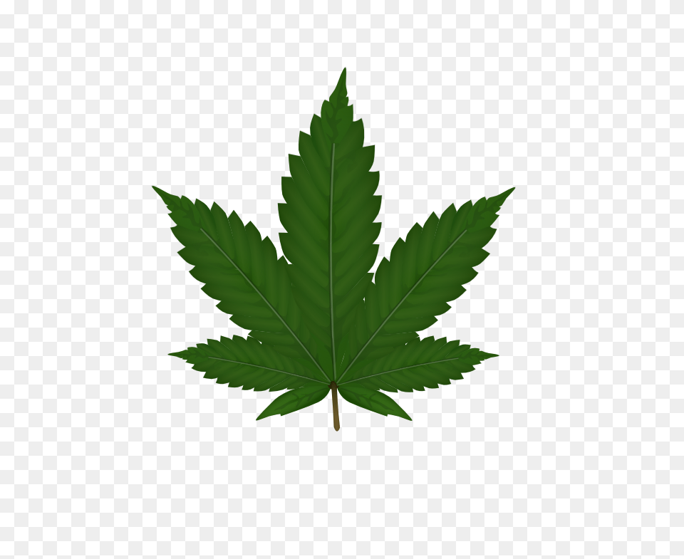 Cannabis, Leaf, Plant, Tree Free Transparent Png