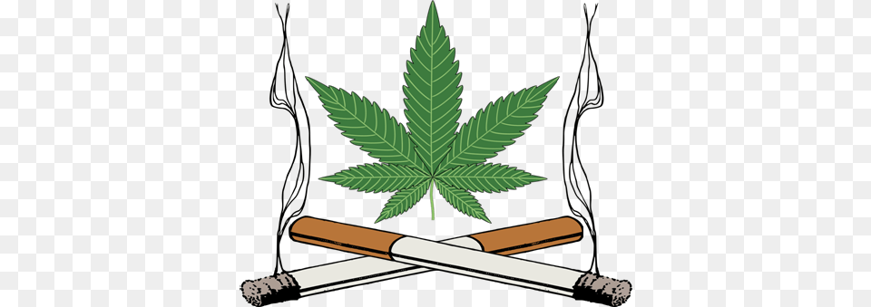 Cannabis, Leaf, Plant Free Png