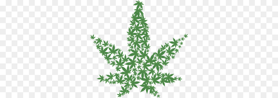Cannabis Leaf, Plant, Tree, Green Free Transparent Png