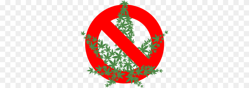 Cannabis Plant, Tree, Conifer, Symbol Free Png