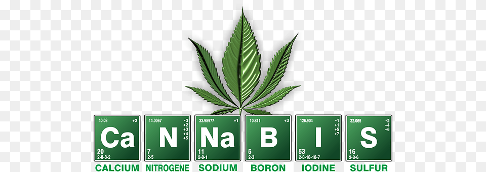 Cannabis Leaf, Plant, Scoreboard, Weed Free Png Download
