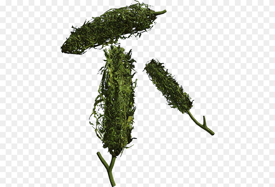 Cannabis, Food, Seasoning, Green, Plant Png