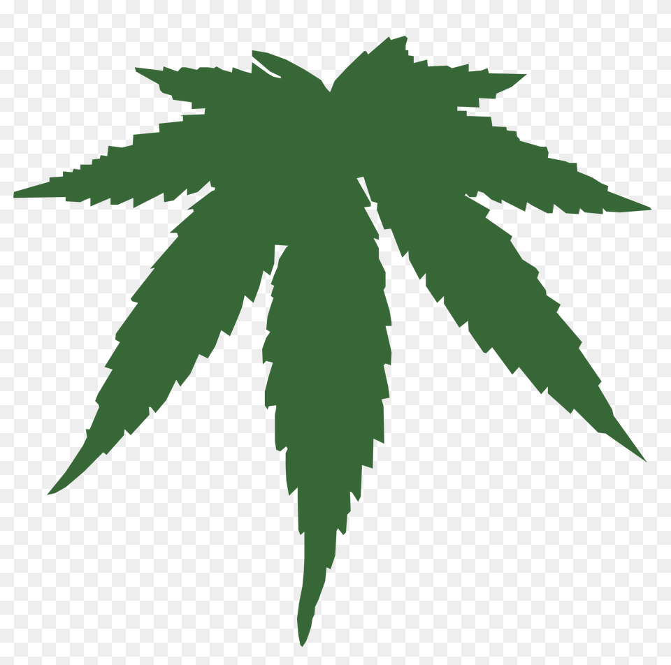 Cannabis, Leaf, Plant, Hemp, Weed Free Transparent Png