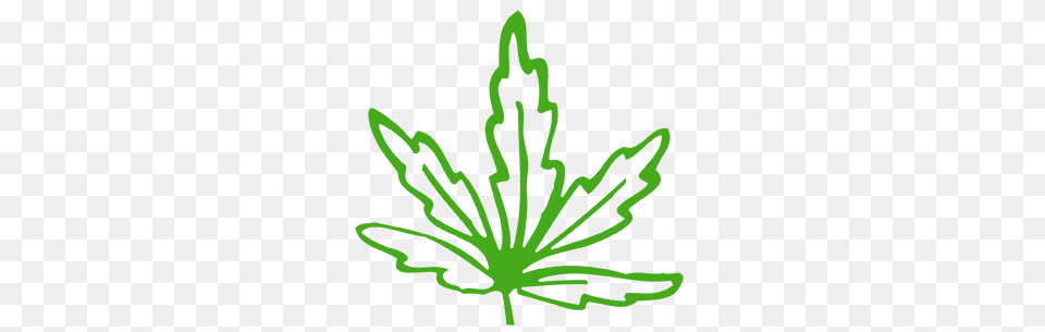 Cannabis, Green, White Board Png Image