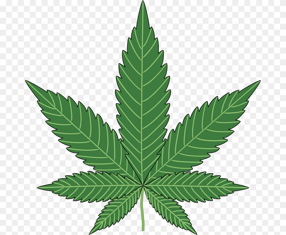 Cannabis, Leaf, Plant, Weed Png Image