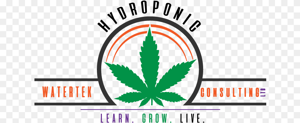 Cannabis, Plant, Weed, Leaf, Hemp Free Transparent Png