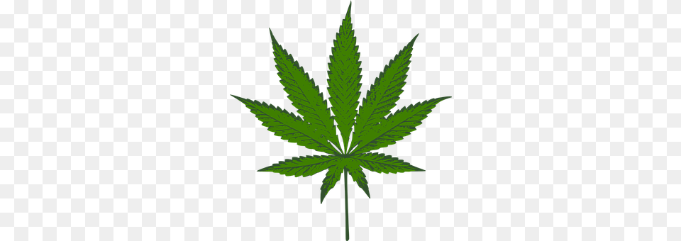 Cannabis Leaf, Plant, Weed, Hemp Png Image