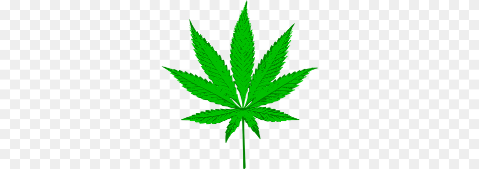 Cannabis Leaf, Plant, Weed, Hemp Free Png