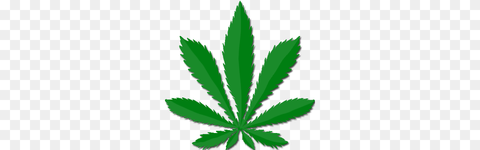 Cannabis, Leaf, Plant, Weed Png
