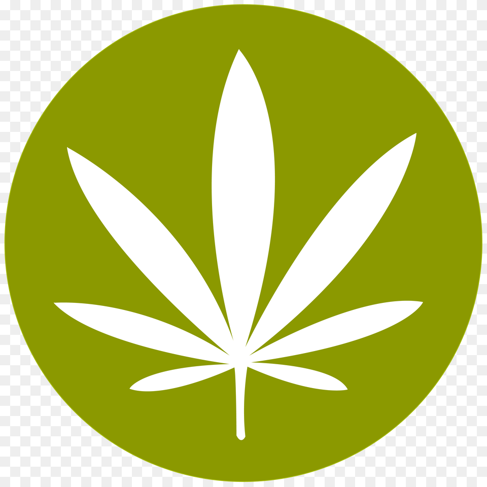 Cannabis, Leaf, Plant, Logo, Blade Free Png Download
