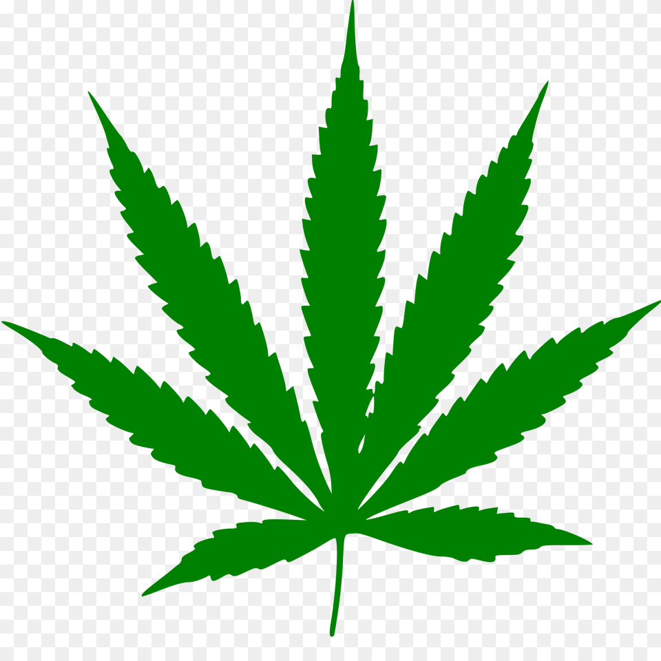 Cannabis, Leaf, Plant, Weed Png