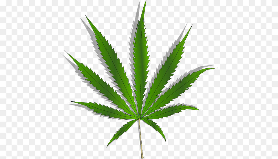 Cannabis, Leaf, Plant, Weed, Hemp Free Png Download