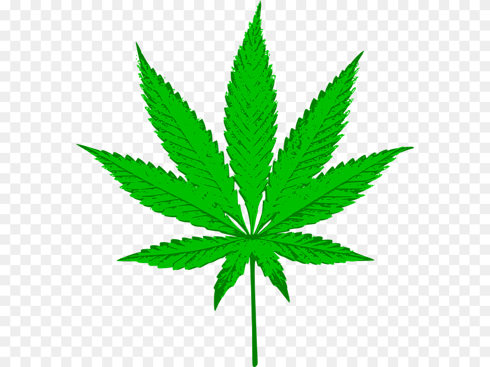 Cannabis, Leaf, Plant, Weed Png