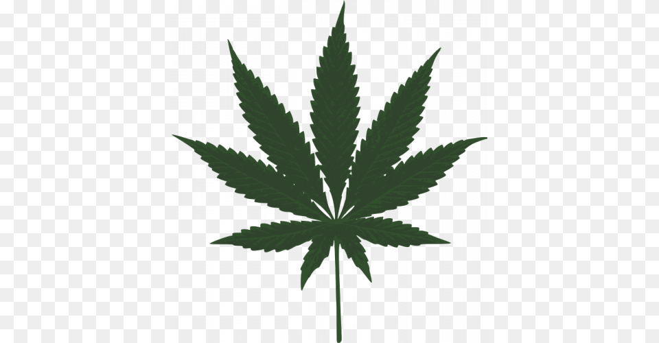 Cannabis, Leaf, Plant, Weed, Hemp Free Png Download