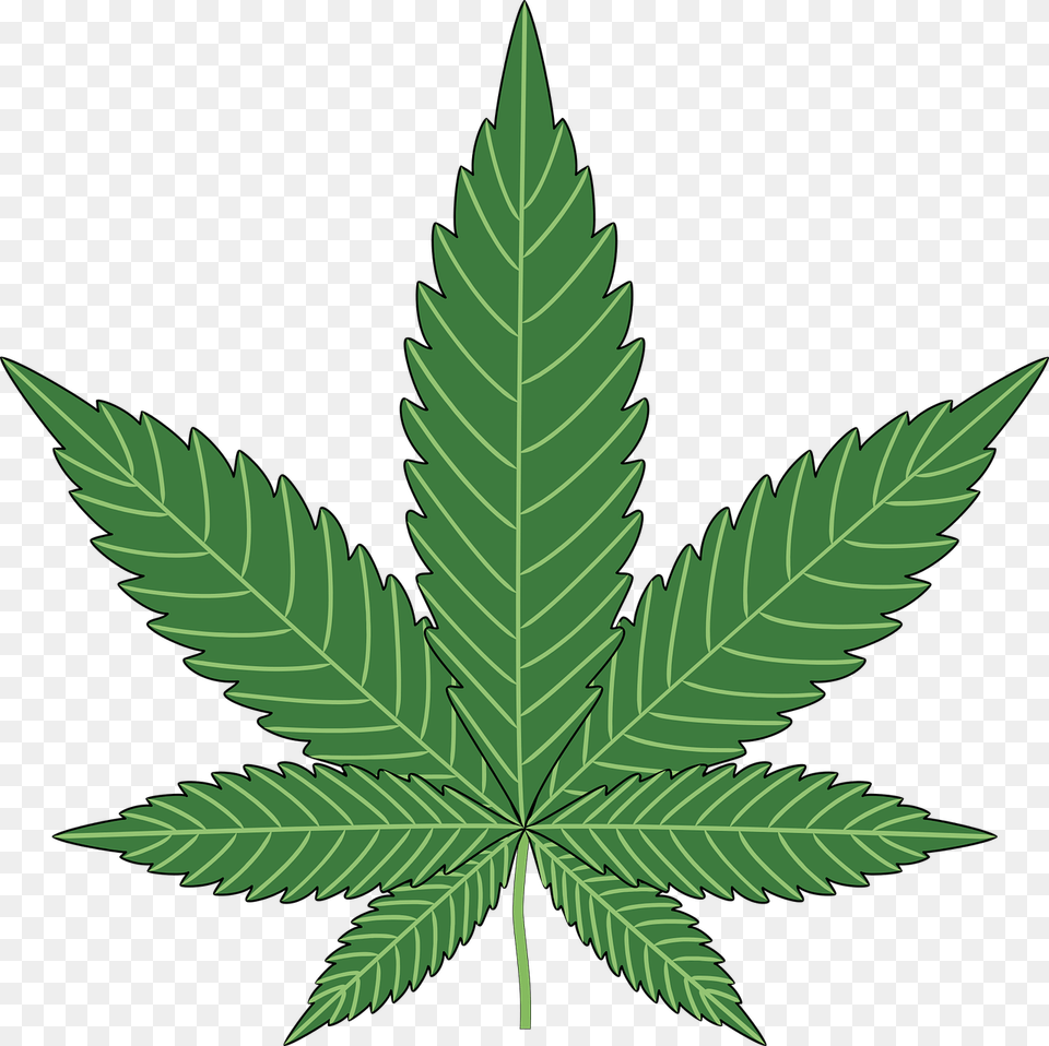 Cannabis, Leaf, Plant, Weed Free Png Download