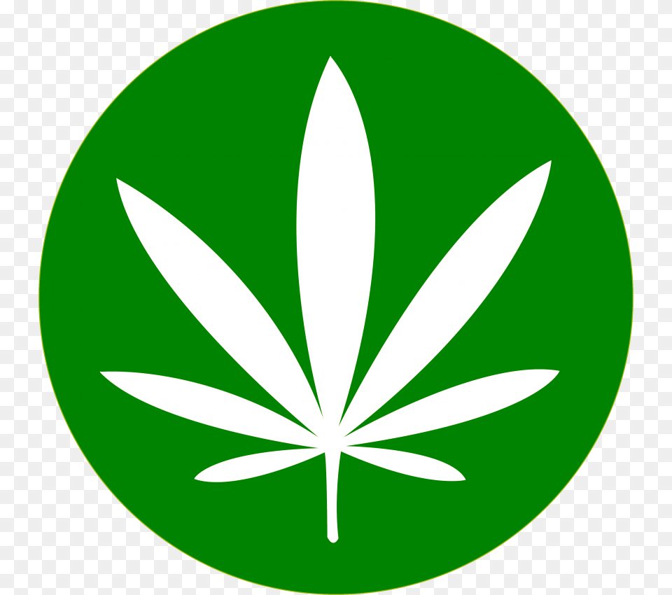Cannabis, Leaf, Plant, Herbal, Herbs Png Image