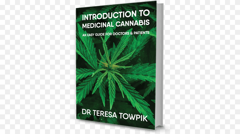 Cannabis, Herbal, Herbs, Plant, Hemp Free Png Download