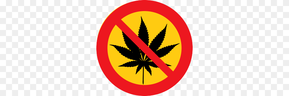 Cannabis Addiction Is Linked To Higher Levels Of Cortisol, Leaf, Plant, Sign, Symbol Free Transparent Png