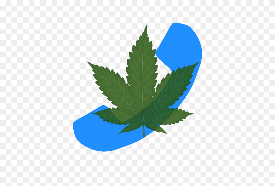 Cannabis Advertising Marijuana Leaf Clip Art, Plant Free Png