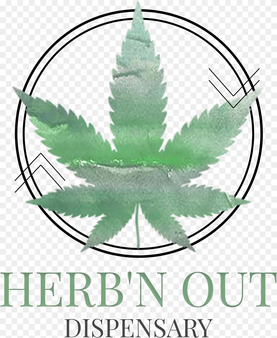 Cannabis Black, Leaf, Plant, Herbal, Herbs Png