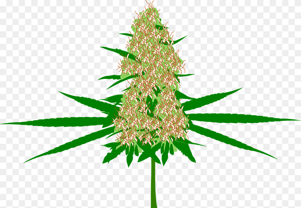 Cannabis Bud Marijuana Hemp Plant Medicine Pot Cartoon Weed Bud, Christmas, Christmas Decorations, Festival, Tree Free Png