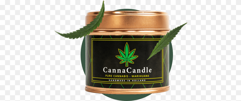 Cannabis Candle At Hempoilshop Cream, Herbal, Herbs, Leaf, Plant Png