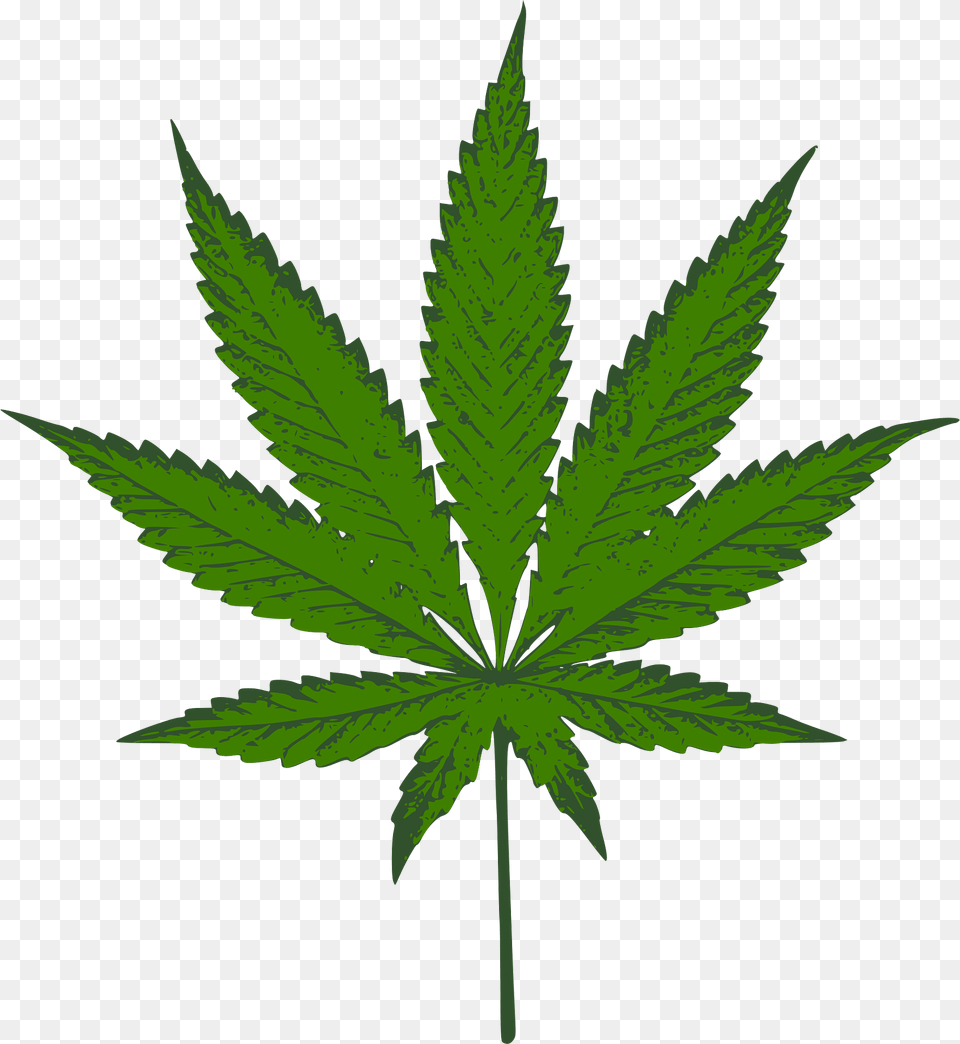 Cannabis Clipart, Leaf, Plant, Weed, Hemp Png Image