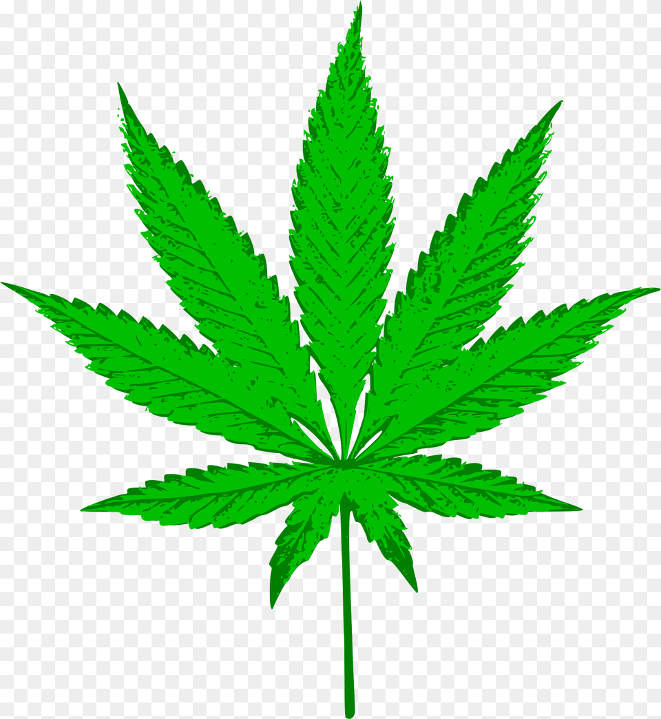 Cannabis Clipart, Leaf, Plant, Weed, Green Png