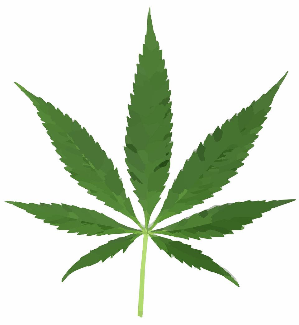 Cannabis Clipart, Leaf, Plant, Weed, Herbal Free Png Download