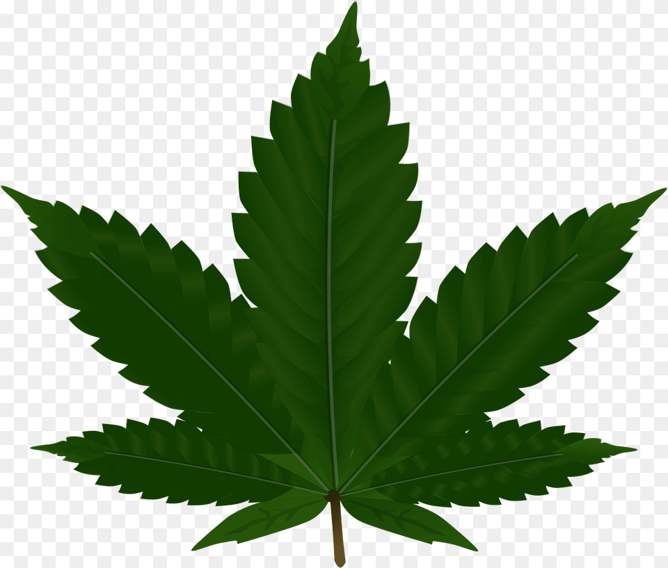 Cannabis Clipart, Leaf, Plant, Tree, Green Png Image