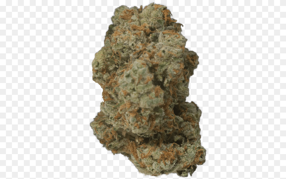 Cannabis Co Igneous Rock, Plant, Weed Free Transparent Png