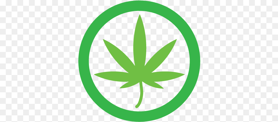 Cannabis Concentrate Flat Cannabis Icon, Leaf, Plant, Weed Free Transparent Png