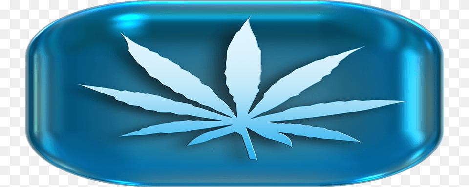 Cannabis Connoisseurs Gambar 3 Dimensi Ganja, Leaf, Plant, Plate Free Png
