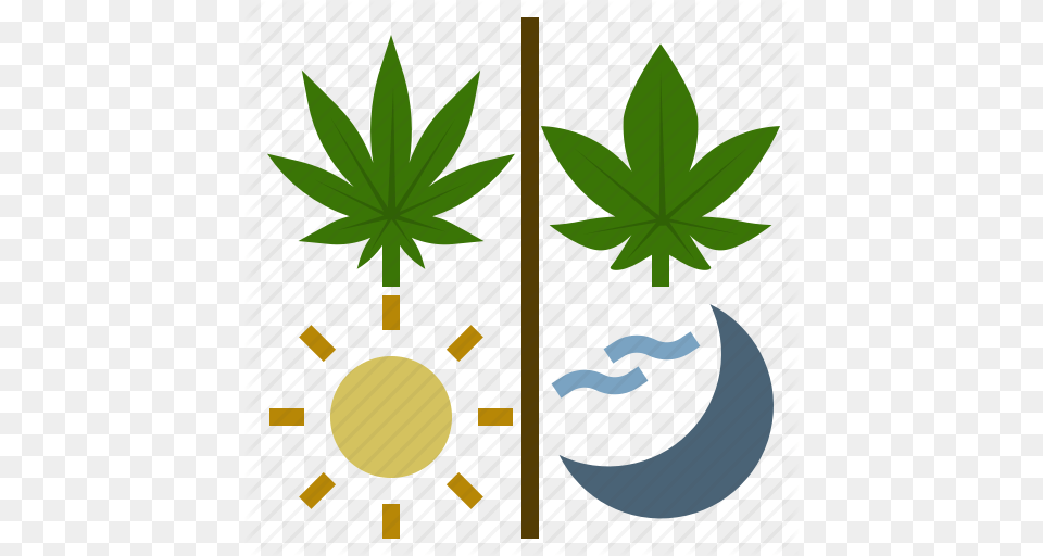 Cannabis Day Hemp Indica Night Sativa Weed Icon, Leaf, Plant Free Transparent Png