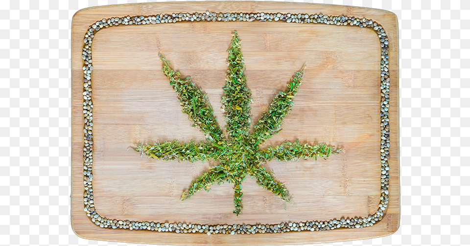 Cannabis Dried Leaves On Wooden Board Png