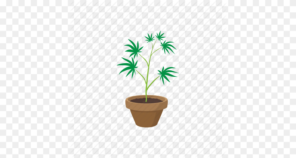 Cannabis Drug Green Growing Marijuana Plant Pot Icon, Leaf, Palm Tree, Potted Plant, Tree Png Image