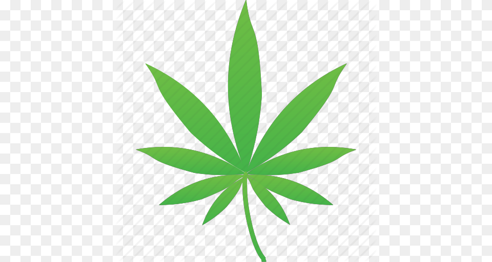 Cannabis Drug Hemp Legal Marijuana Organic Plant Icon, Leaf, Weed Free Png Download