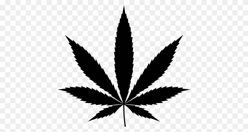 Cannabis Drug Hemp Marijuana Medicine Weed Icon, Leaf, Plant, Architecture, Building Free Png Download