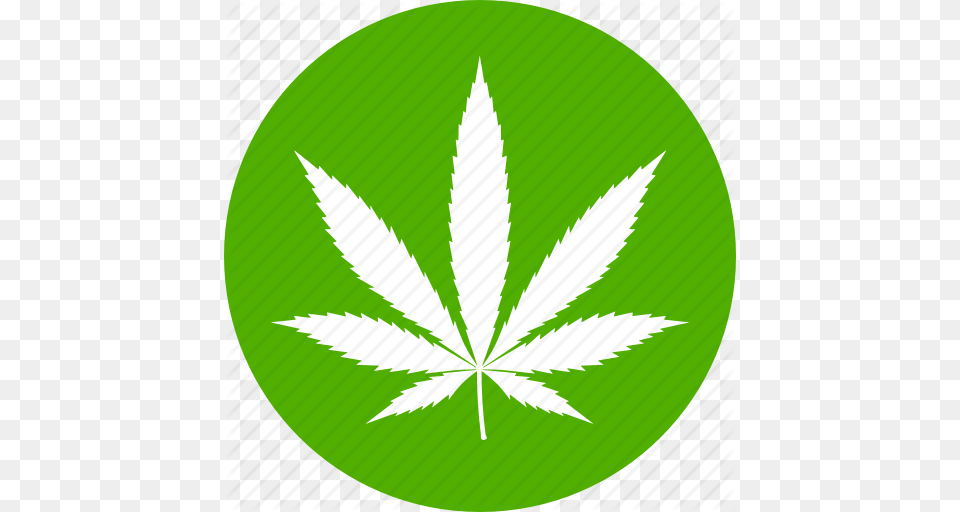 Cannabis Drug Hemp Marijuana Pot Weed Icon, Herbal, Herbs, Leaf, Plant Png Image