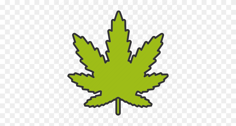 Cannabis Drugs Leaf Marihuana Marijuana Plant Weed Icon, Maple Leaf, Tree Png