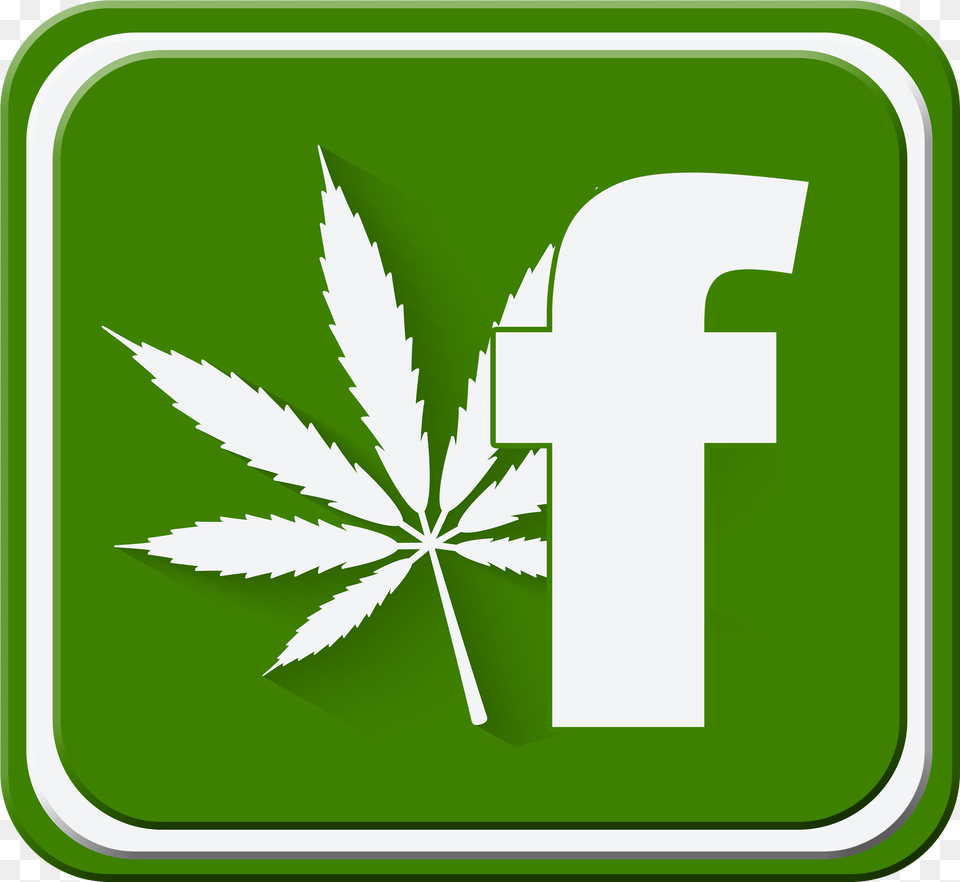Cannabis Facebook, Herbal, Herbs, Leaf, Plant Png