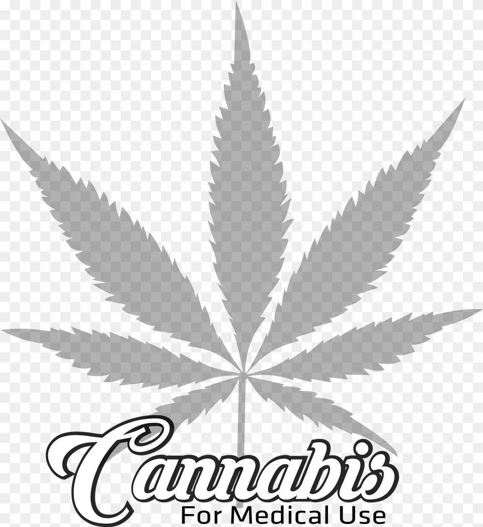 Cannabis For Medical Use Clipart, Leaf, Plant, Weed, Herbal Free Png